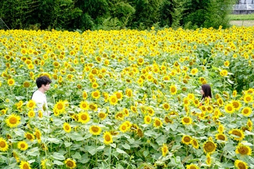 �Տ�̌�����  ��ʎʐ^7