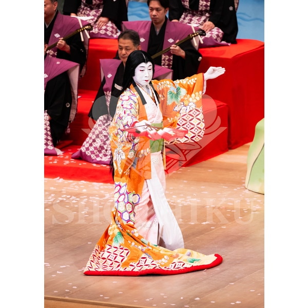 2025�N12�� ����u�g��猩�����s ����������̕���v�u���}�C�h�^�w���̉Ԍ��x�^027