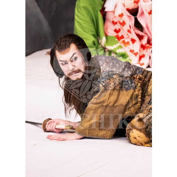 2025�N12�� ����u�g��猩�����s ����������̕���v�u���}�C�h�^�w���Ə��쓇�x�^058