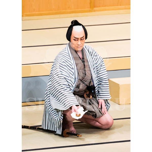 2025�N12�� ����u�g��猩�����s ����������̕���v�u���}�C�h�^�w�ٓV�����j���Q�x�^065