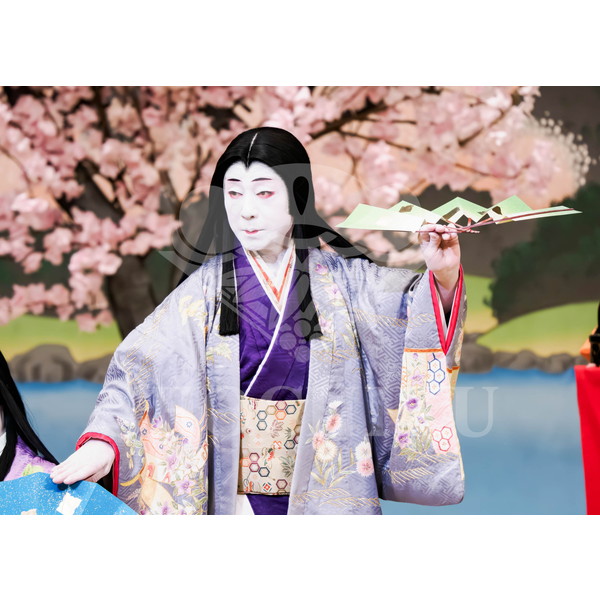 2025�N12�� ����u�g��猩�����s ����������̕���v�u���}�C�h�^�w���̉Ԍ��x�^107