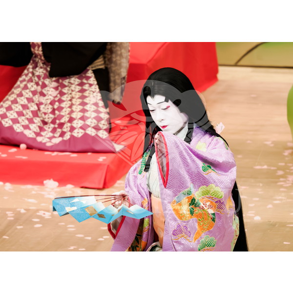 2025�N12�� ����u�g��猩�����s ����������̕���v�u���}�C�h�^�w���̉Ԍ��x�^132