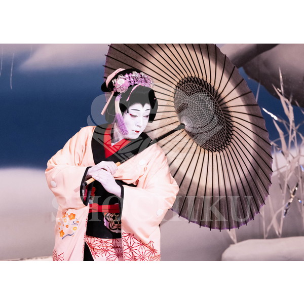 2025�N12�� ����u�g��猩�����s ����������̕���v�u���}�C�h�^�w�떺�x�^145