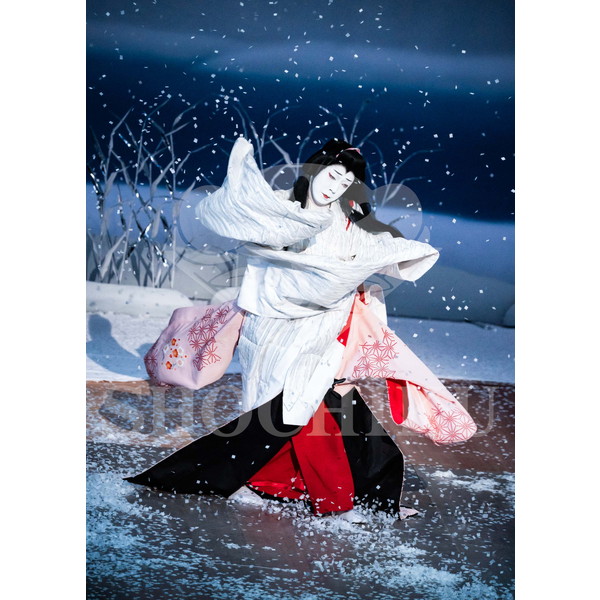 2025�N12�� ����u�g��猩�����s ����������̕���v�u���}�C�h�^�w�떺�x�^146