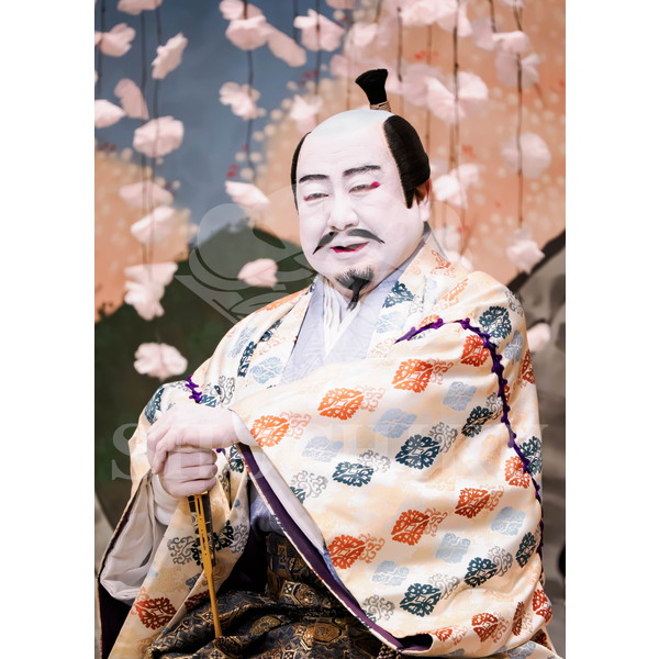 2025�N12�� ����u�g��猩�����s ����������̕���v�u���}�C�h�^�w���̉Ԍ��x�^180