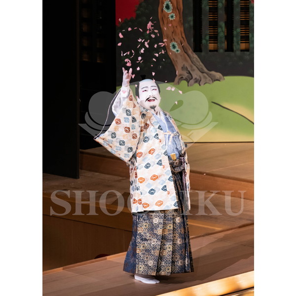 2025�N12�� ����u�g��猩�����s ����������̕���v�u���}�C�h�^�w���̉Ԍ��x�^182