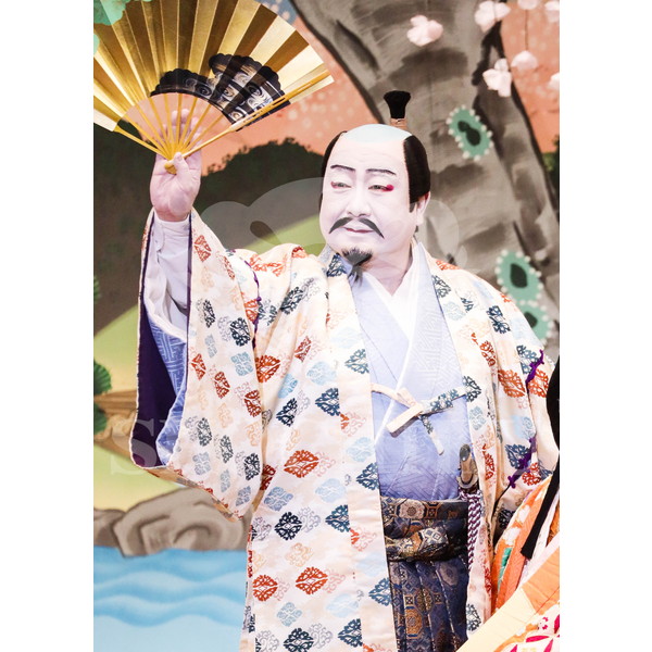 2025�N12�� ����u�g��猩�����s ����������̕���v�u���}�C�h�^�w���̉Ԍ��x�^183