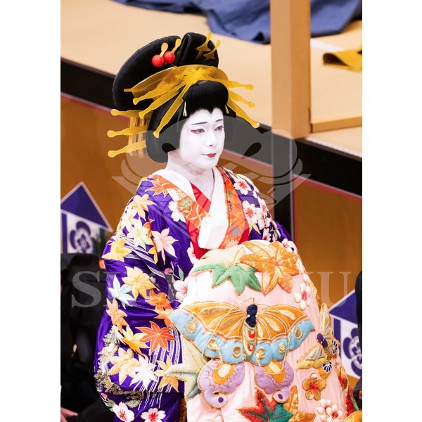 2025�N12�� ����u�g��猩�����s ����������̕���v�u���}�C�h�^�w���]��Ζʁx�^208