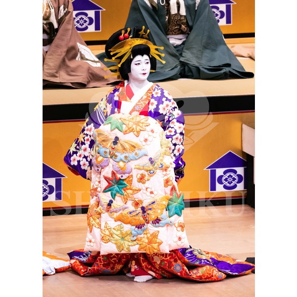 2025�N12�� ����u�g��猩�����s ����������̕���v�u���}�C�h�^�w���]��Ζʁx�^210