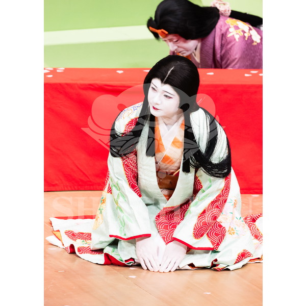 2025�N12�� ����u�g��猩�����s ����������̕���v�u���}�C�h�^�w���̉Ԍ��x�^217