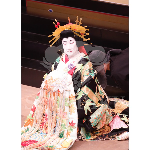 2025�N12�� ����u�g��猩�����s ����������̕���v�u���}�C�h�^�w���]��Ζʁx�^231