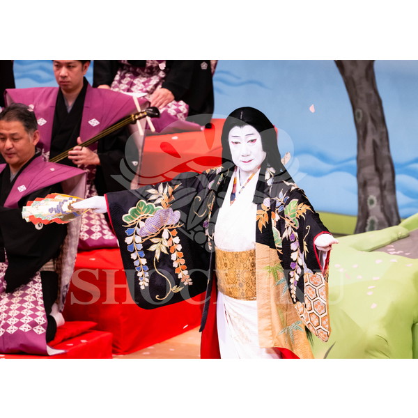 2025�N12�� ����u�g��猩�����s ����������̕���v�u���}�C�h�^�w���̉Ԍ��x�^236