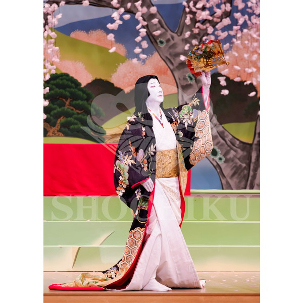 2025�N12�� ����u�g��猩�����s ����������̕���v�u���}�C�h�^�w���̉Ԍ��x�^237