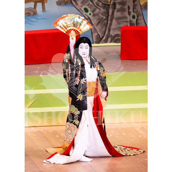 2025�N12�� ����u�g��猩�����s ����������̕���v�u���}�C�h�^�w���̉Ԍ��x�^238