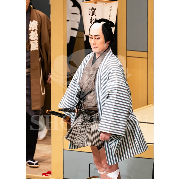 2025�N12�� ����u�g��猩�����s ����������̕���v�u���}�C�h�^�w�ٓV�����j���Q�x�^437