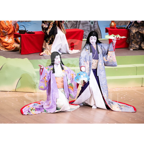 2025�N12�� ����u�g��猩�����s ����������̕���v�u���}�C�h�^�w���̉Ԍ��x�^453