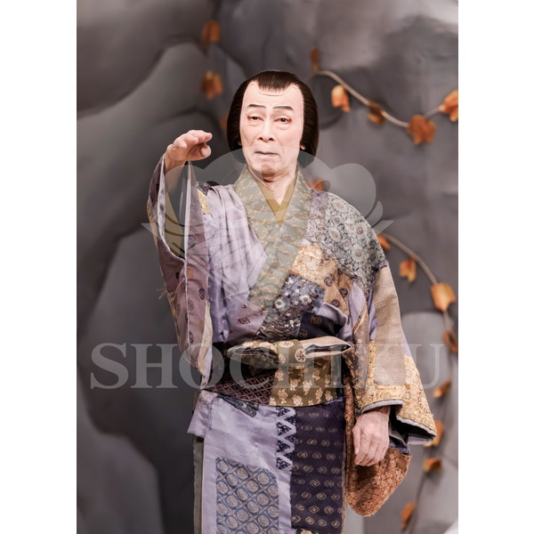 2025�N12�� ����u�g��猩�����s ����������̕���v�u���}�C�h�^�w���Ə��쓇�x�^455