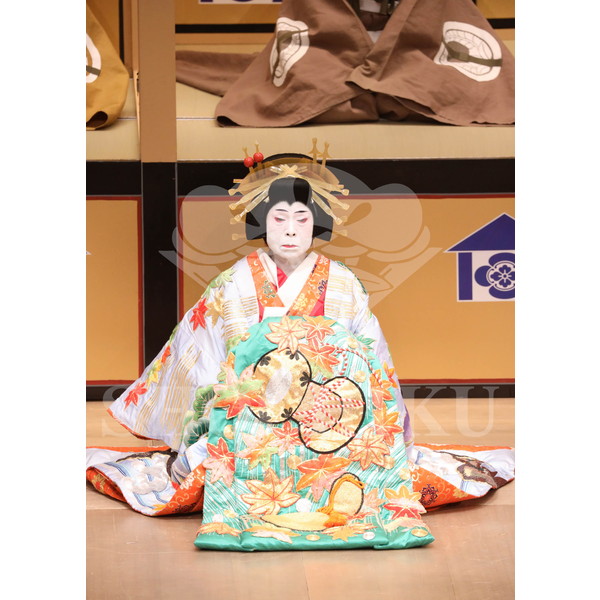 2025�N12�� ����u�g��猩�����s ����������̕���v�u���}�C�h�^�w���]��Ζʁx�^460