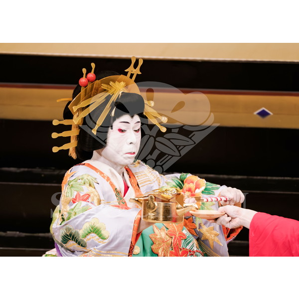 2025�N12�� ����u�g��猩�����s ����������̕���v�u���}�C�h�^�w���]��Ζʁx�^463