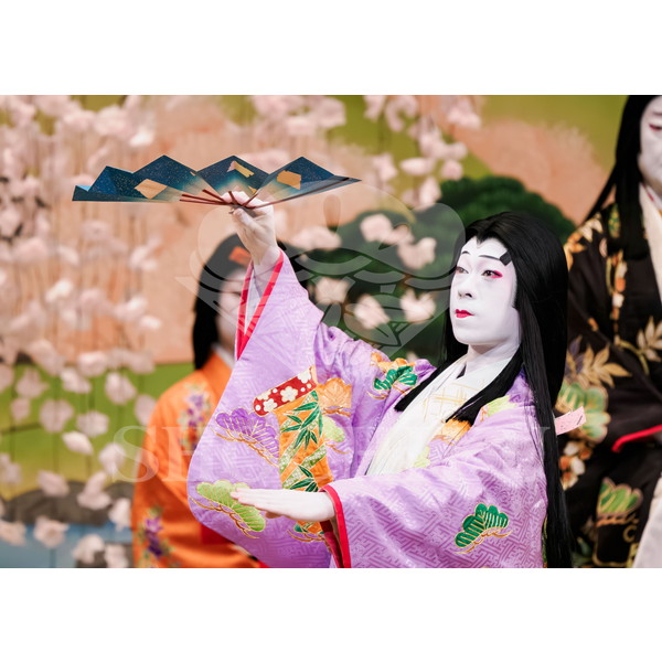 2025�N12�� ����u�g��猩�����s ����������̕���v�u���}�C�h�^�w���̉Ԍ��x�^467