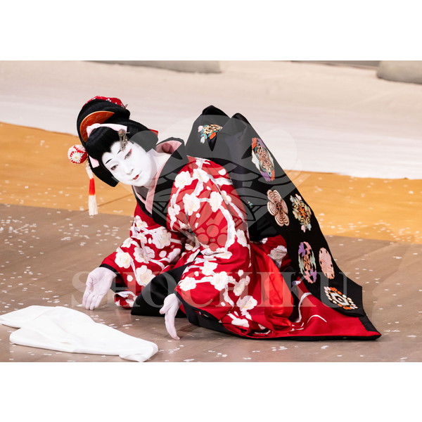 2025�N12�� ����u�g��猩�����s ����������̕���v�u���}�C�h�^�w�떺�x�^472