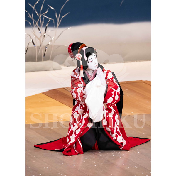 2025�N12�� ����u�g��猩�����s ����������̕���v�u���}�C�h�^�w�떺�x�^473