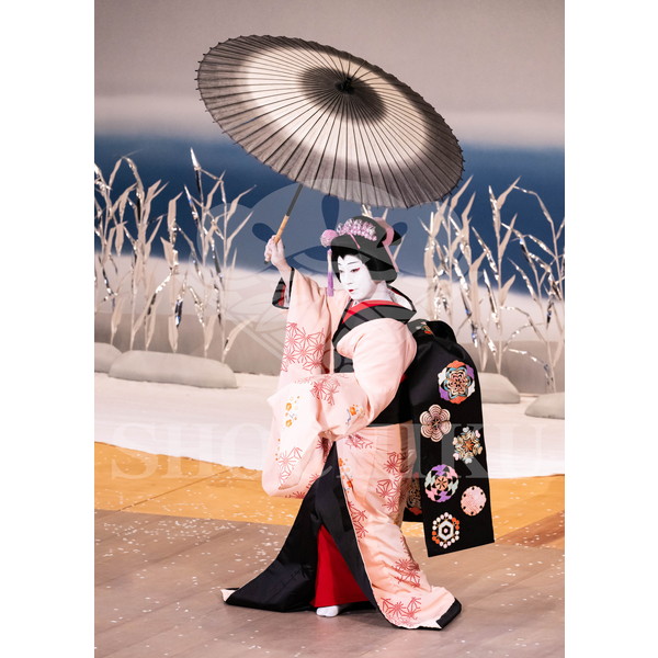 2025�N12�� ����u�g��猩�����s ����������̕���v�u���}�C�h�^�w�떺�x�^477