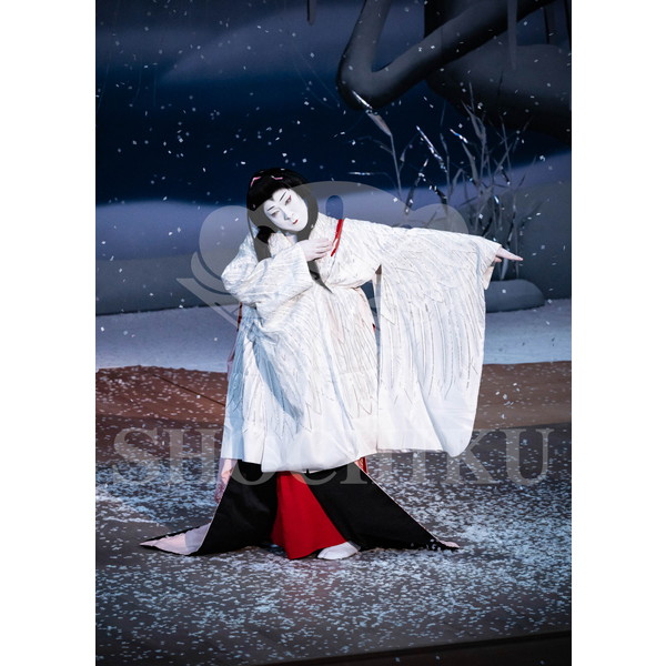 2025�N12�� ����u�g��猩�����s ����������̕���v�u���}�C�h�^�w�떺�x�^481