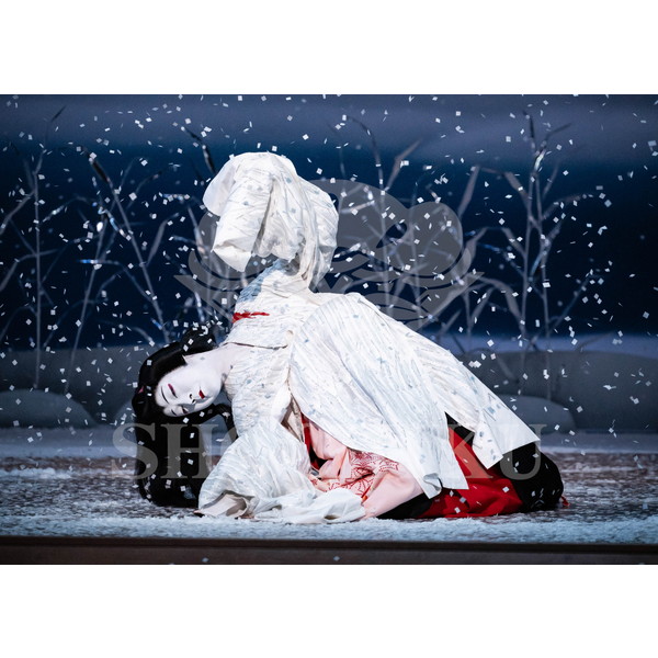 2025�N12�� ����u�g��猩�����s ����������̕���v�u���}�C�h�^�w�떺�x�^484