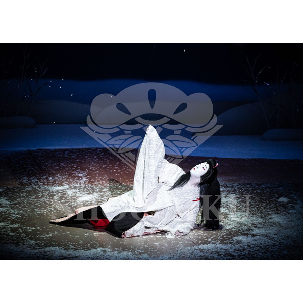 2025�N12�� ����u�g��猩�����s ����������̕���v�u���}�C�h�^�w�떺�x�^486