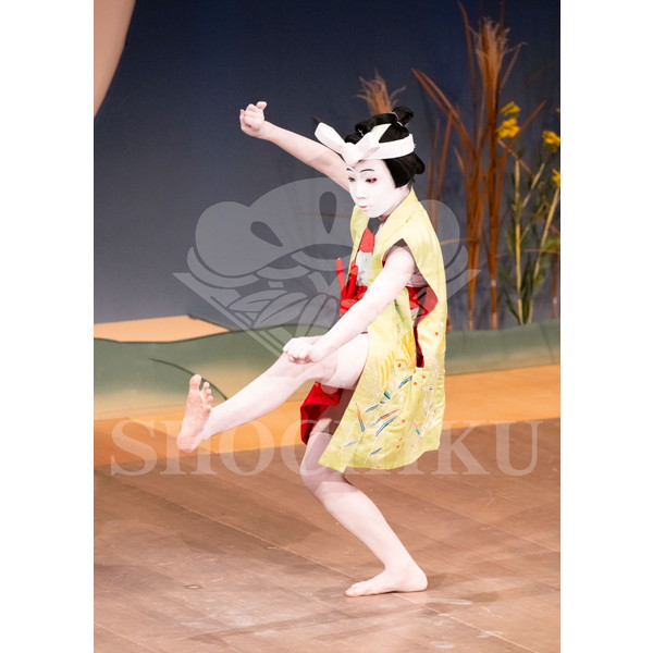 2025�N12�� ����u�g��猩�����s ����������̕���v�u���}�C�h�^�w�ʓe�x�^497