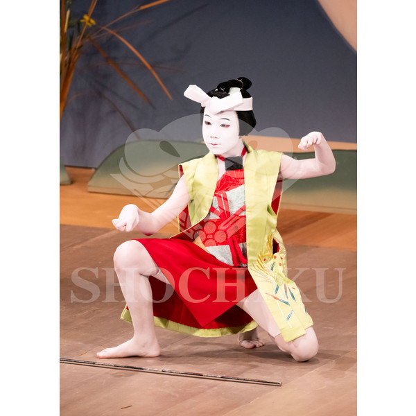 2025�N12�� ����u�g��猩�����s ����������̕���v�u���}�C�h�^�w�ʓe�x�^500