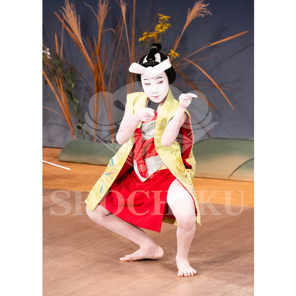 2025�N12�� ����u�g��猩�����s ����������̕���v�u���}�C�h�^�w�ʓe�x�^501