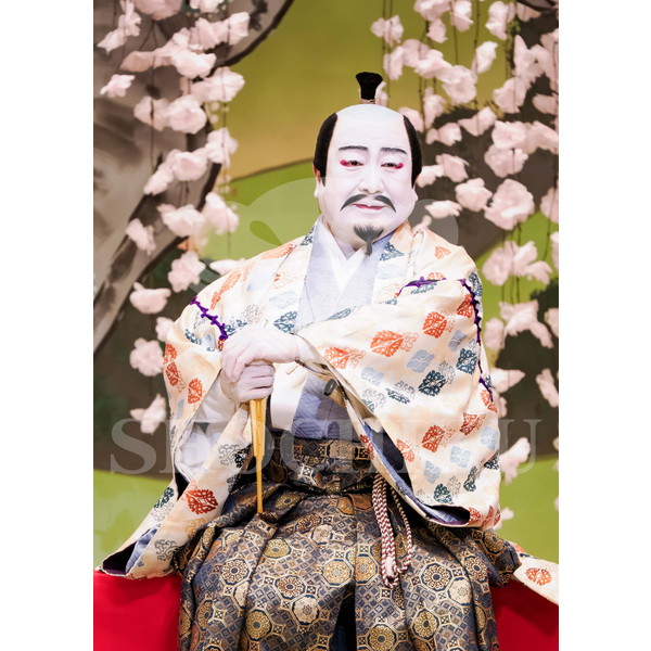 2025�N12�� ����u�g��猩�����s ����������̕���v�u���}�C�h�^�w���̉Ԍ��x�^514