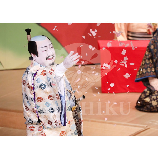 2025�N12�� ����u�g��猩�����s ����������̕���v�u���}�C�h�^�w���̉Ԍ��x�^515