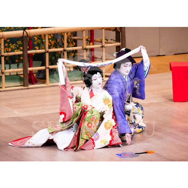 2025�N12�� ����u�g��猩�����s ����������̕���v�u���}�C�h�^�w�O�l�`�x�^527