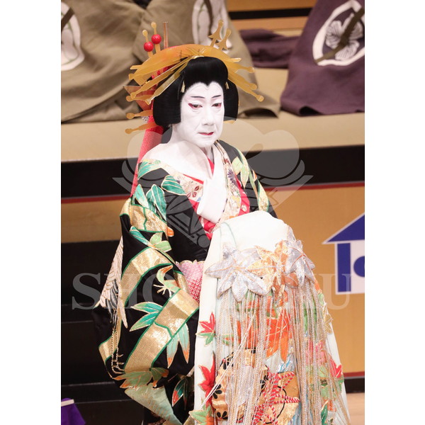 2025�N12�� ����u�g��猩�����s ����������̕���v�u���}�C�h�^�w���]��Ζʁx�^536