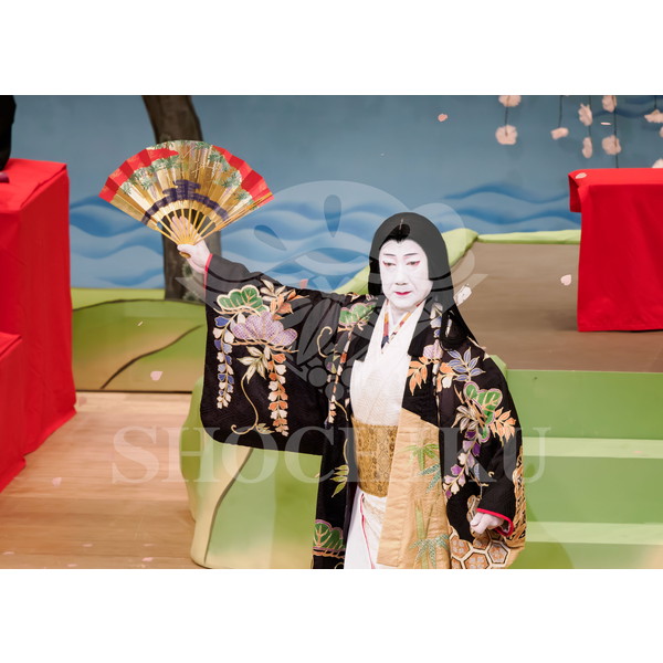 2025�N12�� ����u�g��猩�����s ����������̕���v�u���}�C�h�^�w���̉Ԍ��x�^538