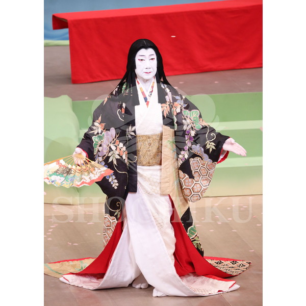 2025�N12�� ����u�g��猩�����s ����������̕���v�u���}�C�h�^�w���̉Ԍ��x�^540