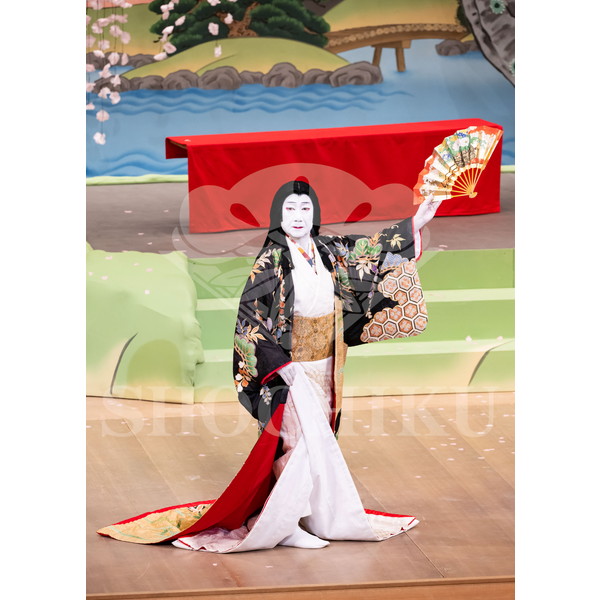 2025�N12�� ����u�g��猩�����s ����������̕���v�u���}�C�h�^�w���̉Ԍ��x�^541