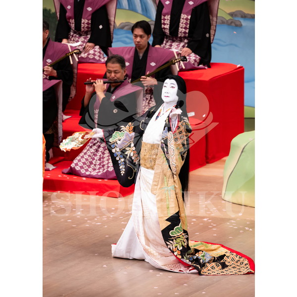 2025�N12�� ����u�g��猩�����s ����������̕���v�u���}�C�h�^�w���̉Ԍ��x�^542