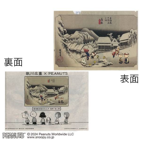 MCSNOOPY×�̐�L�d�N���A�t�@�C���i�����j