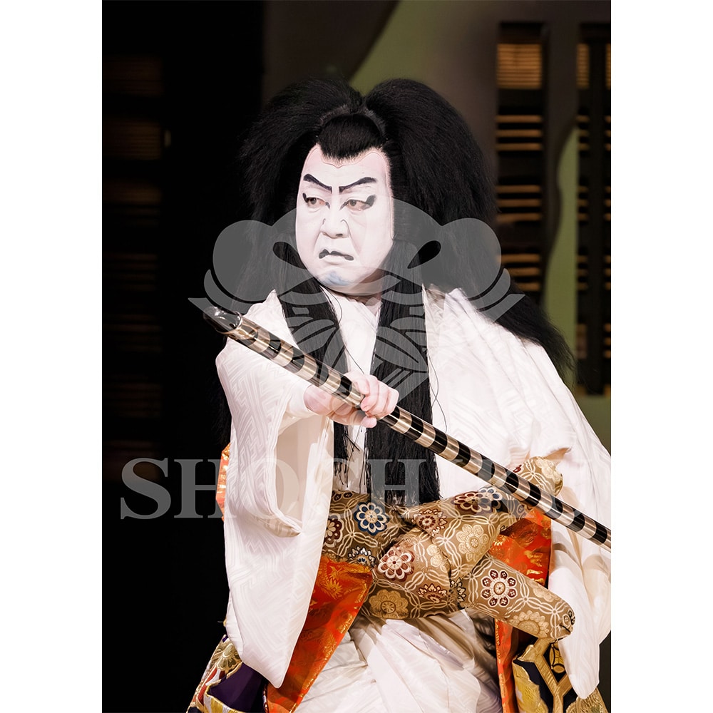 2026�N1�� ��㏼�|���u�� ���t�̕�����ʌ����v�u���}�C�h�^�w�_���՗�M�L�x�^003