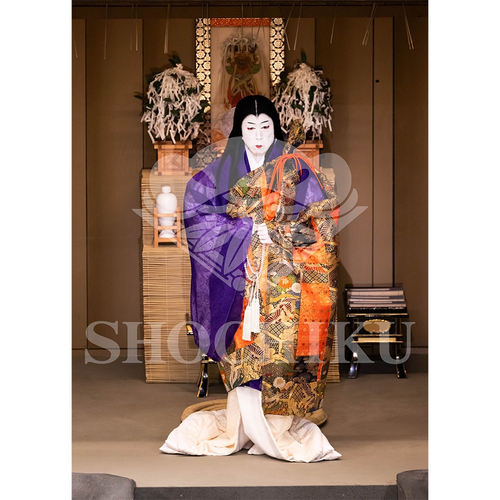 2026�N1�� ��㏼�|���u�� ���t�̕�����ʌ����v�u���}�C�h�^�w���_�x�^024