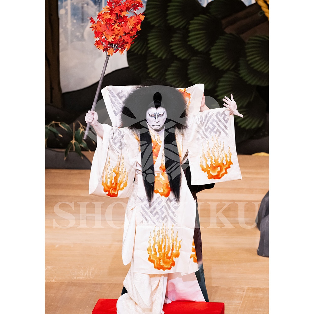 2026�N1�� ��㏼�|���u�� ���t�̕�����ʌ����v�u���}�C�h�^�w���_�x�^027