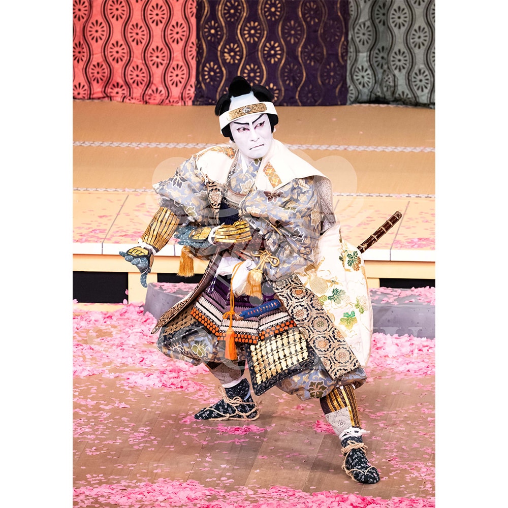 2026�N1�� ��㏼�|���u�� ���t�̕�����ʌ����v�u���}�C�h�^�w�_���՗�M�L�x�^031