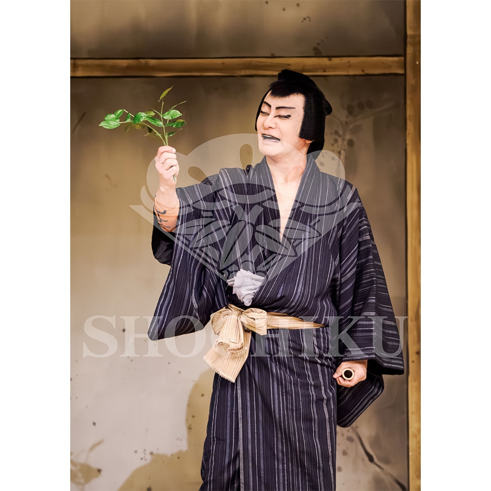 2026�N1�� ��㏼�|���u�� ���t�̕�����ʌ����v�u���}�C�h�^�w�炭���x�^033