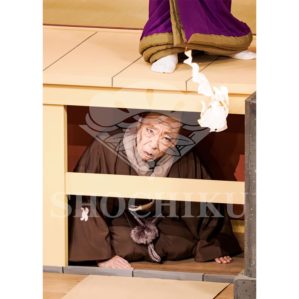 2026�N1�� ��㏼�|���u�� ���t�̕�����ʌ����v�u���}�C�h�^�w������{���b���x�^055