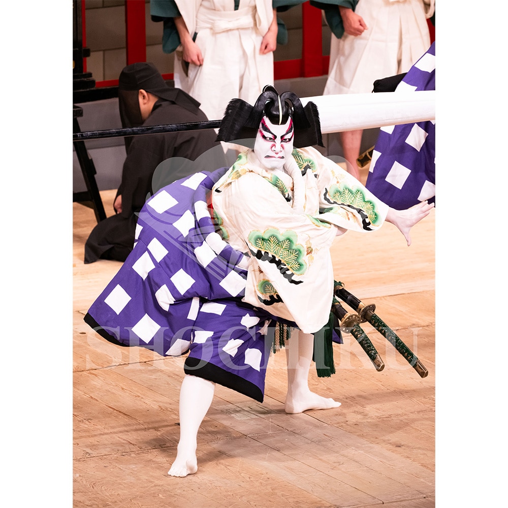 2026�N1�� ��㏼�|���u�� ���t�̕�����ʌ����v�u���}�C�h�^�w�����`����K�Ӂx�^105