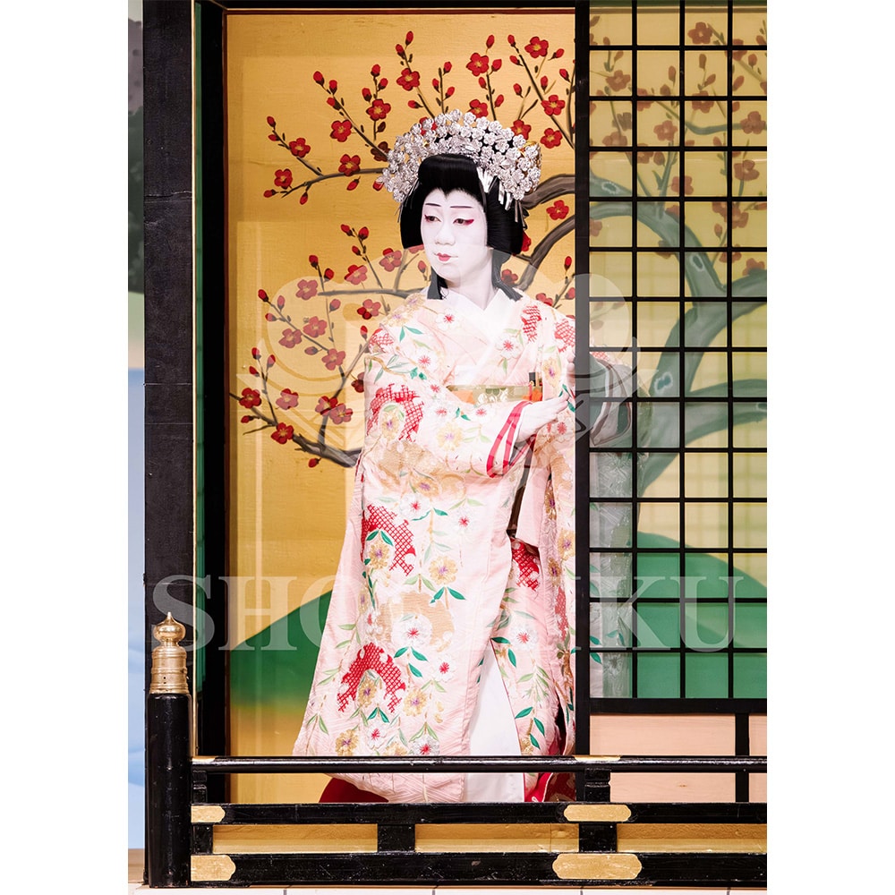 2026�N1�� ��㏼�|���u�� ���t�̕�����ʌ����v�u���}�C�h�^�w�_���՗�M�L�x�^113